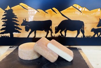 fromage-pave-de-vuadens-001