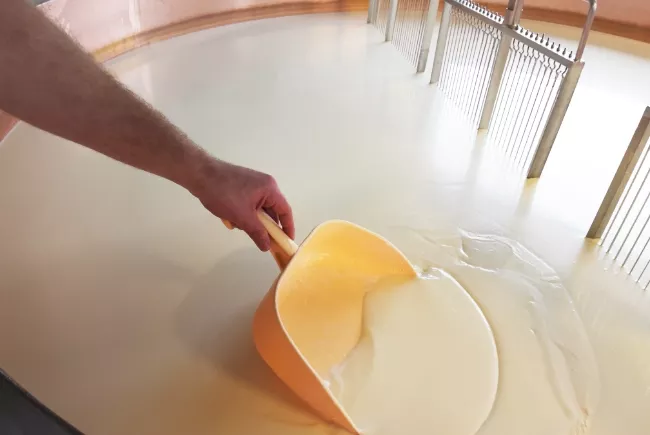 Préparation de la transformation du lait en cuve