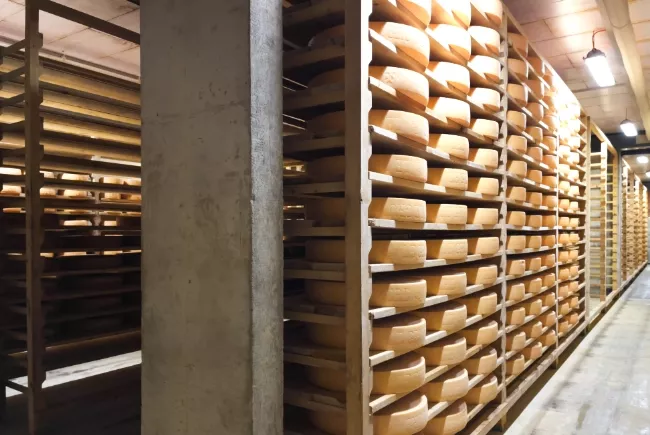 Couloirs d'étagères  garnies de fromages stockés en cave