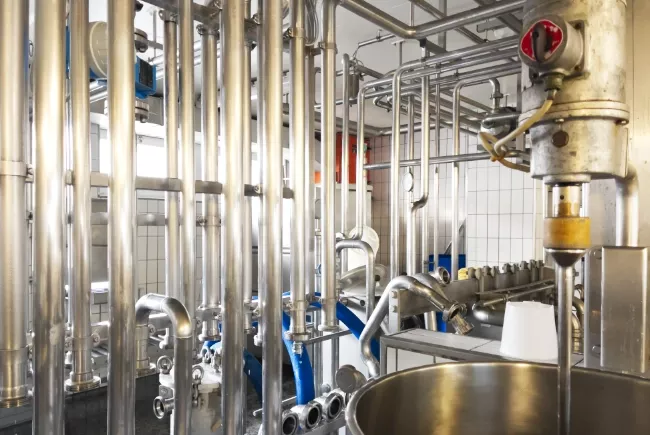 Tyauterie d'acheminement du lait en salle de laiterie fromagerie