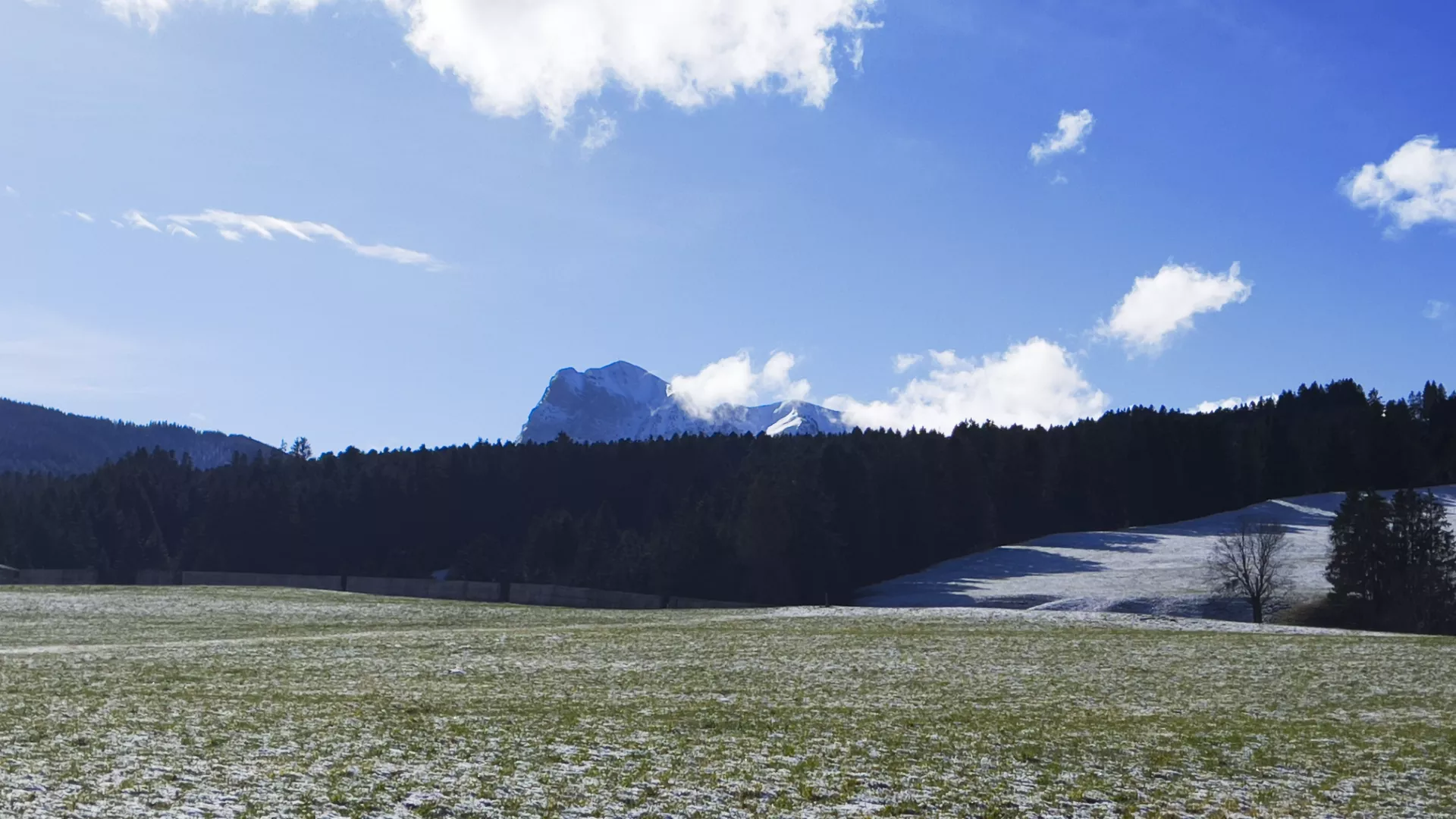 Vue panoramique d'une plaine et de sa forêt avec le Moléson en arrière plan