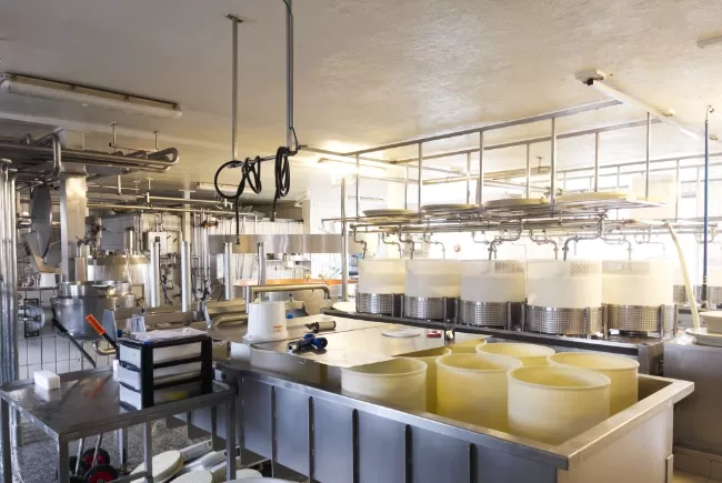 Vue d'ensemble de la salle de production de la laiterie fromagerie